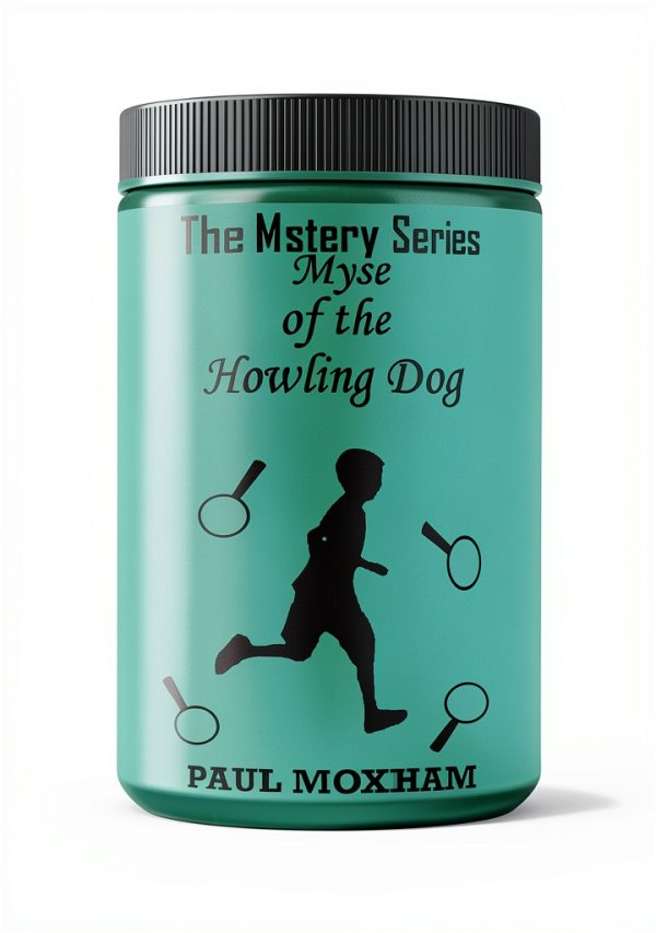 Mystery Series Short Story Book 7 Kindle English Children-0