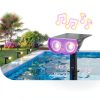 Linkind Smart Solar Spotlight App Control Color Changing-3
